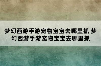 梦幻西游手游宠物宝宝去哪里抓 梦幻西游手游宠物宝宝去哪里抓